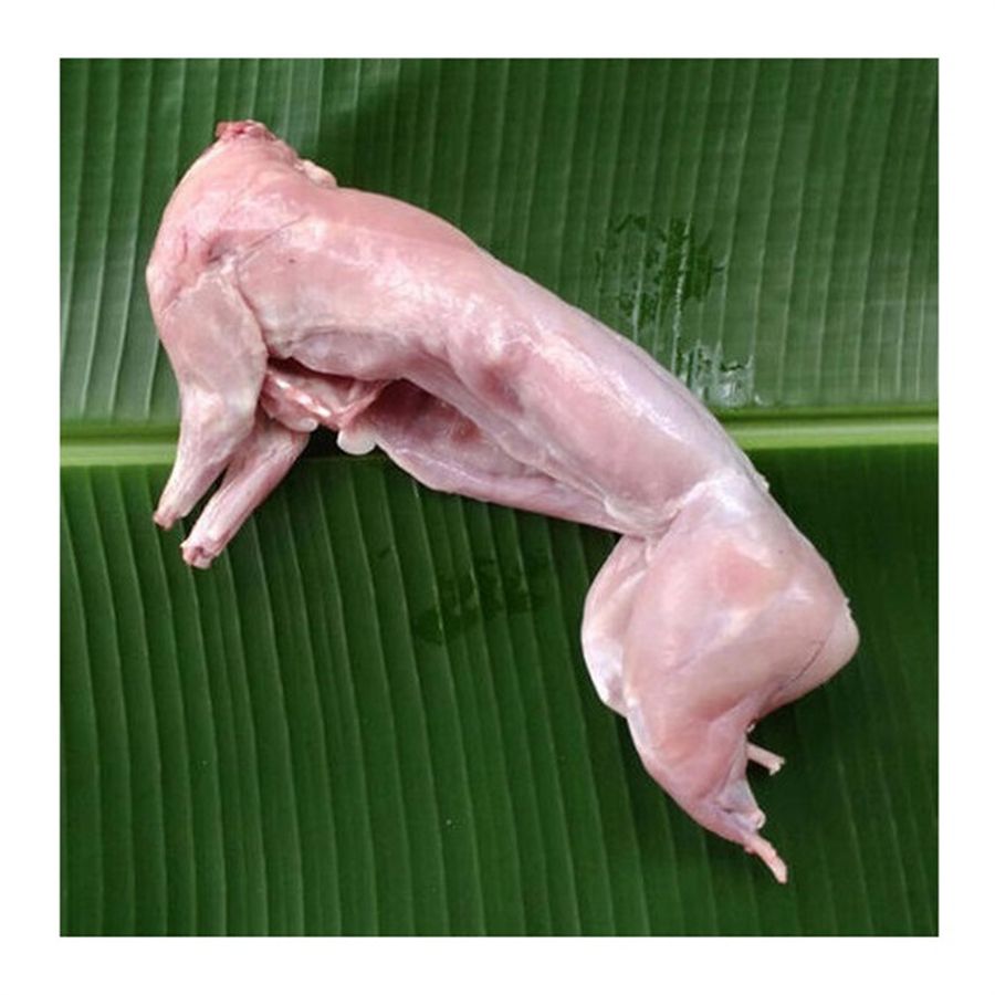 Rabbit Meat in best sale price