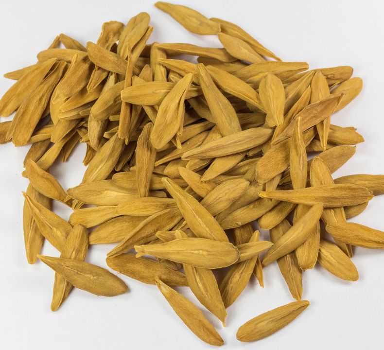 Strophanthus gratus and Strophanthus Kombe Seeds