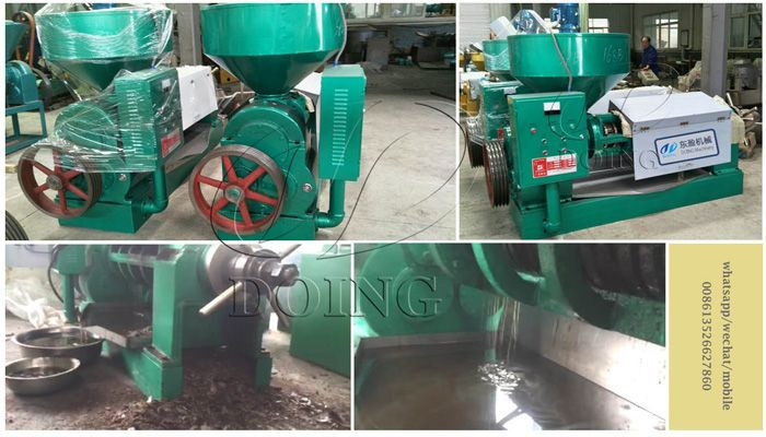 Small scale palm kernel oil extraction machine palm kernel pressing machine