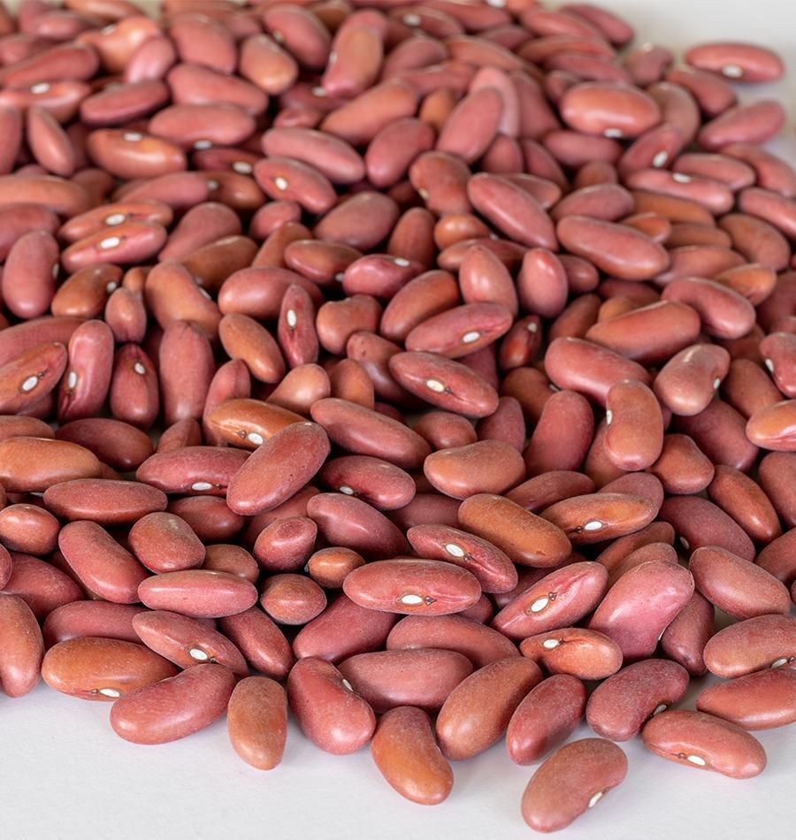 Kidney Beans