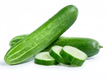 Fresh Cucumber